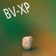 唯听BV-XP(T)全数字大功率耳道机