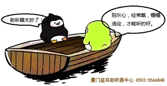 助听器的适应